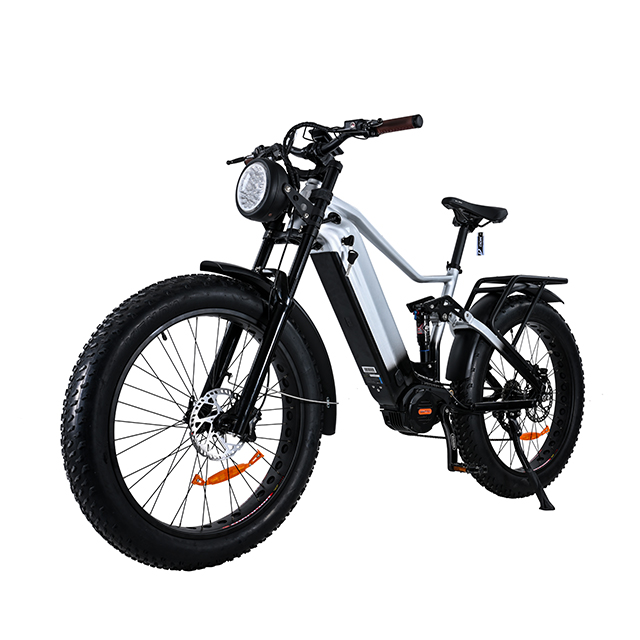 Vollgefedertes 1000W Power Retro Vintage E Bike Fat Tire Ebike 26*4,0 Fat Tire Elektrofahrrad