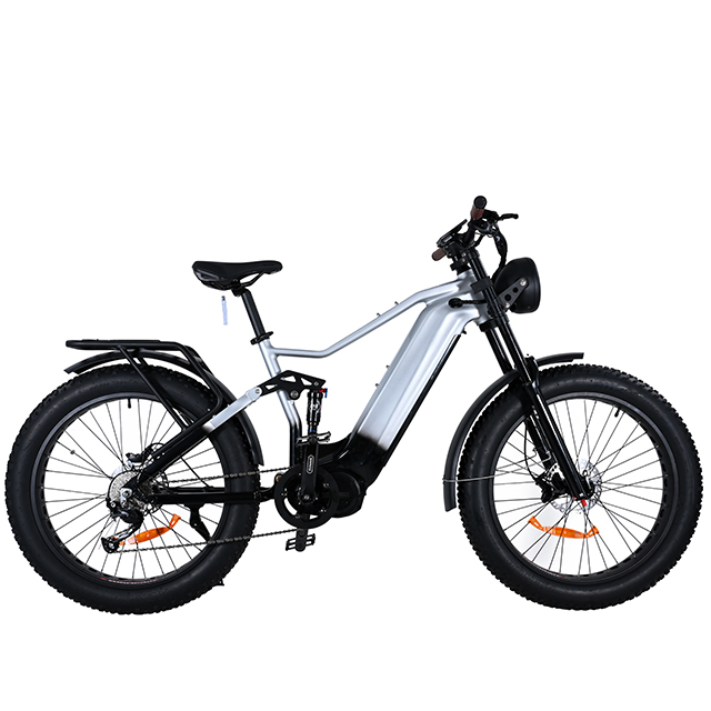Vollgefedertes 1000W Power Retro Vintage E Bike Fat Tire Ebike 26*4,0 Fat Tire Elektrofahrrad