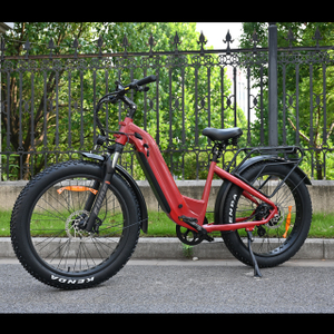 Treten Sie durch Design Electric Fat Tire Bike 26 'Zoll Reifen Single/Dual -Batterie -Elektrofahrrad zum Verkauf