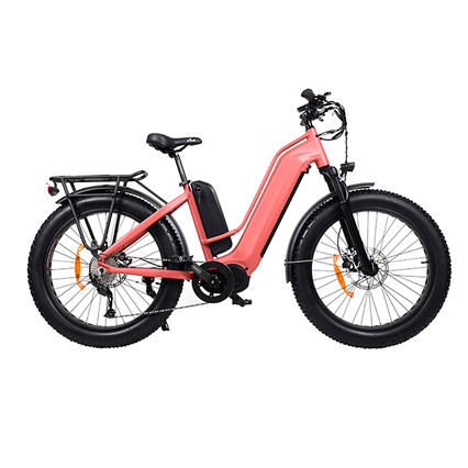 TDA26L Stiefvater Doal Motor Fett Elektrofahrrad Fahrrad