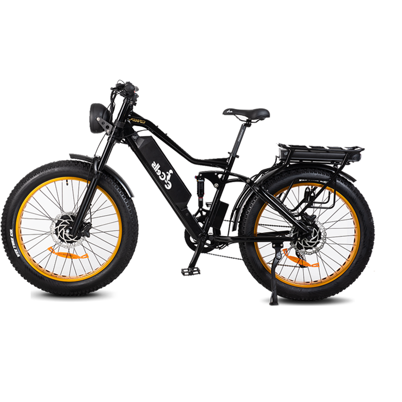 Wählen Sie elektrische fette Reifenräder für Strandfahrten