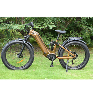 Treten Sie durch Design Electric Fat Tire Bike 26 'Zoll Reifen Single/Dual -Batterie -Elektrofahrrad zum Verkauf