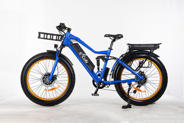 E-CELLS SUPER MONARCH AWD 700 1000 WATT