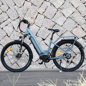 Hard Tail Tiner Tire Electric City Bike 500W Hinterradnabe Motorrad elektrisch 