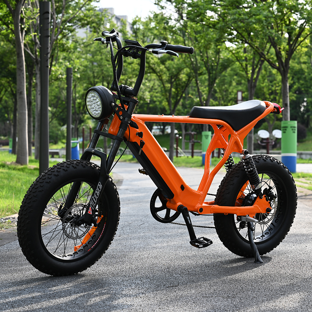Heck -Nabenmotorrad mit 20 'Zoll Fettreifen Doppelkronen -Federgabel mit langem Sait E -Bike
