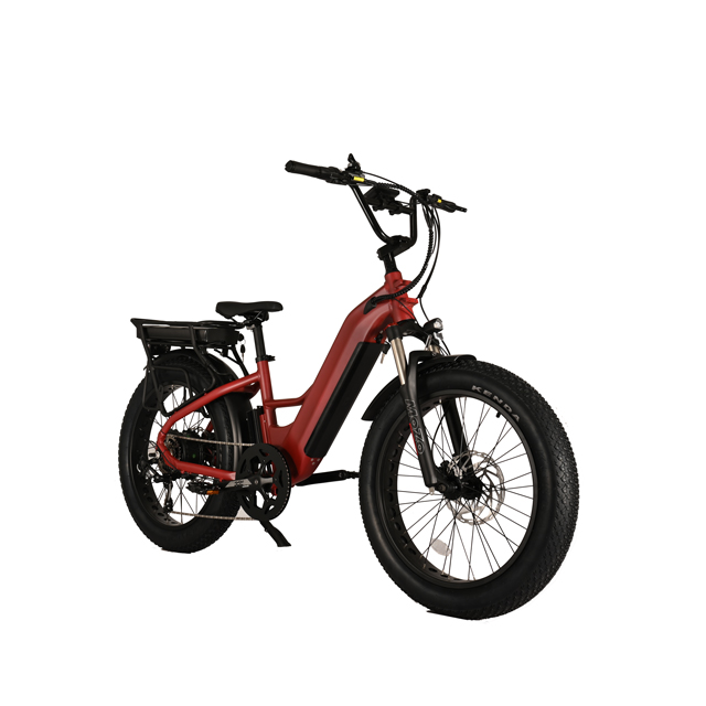 Elektrofahrrad mit zwei Batterie mit Heck -Nabenmotor Design 26 'Zoll Fettreifen Elektrofahrrad mit leistungsstarkem Motor