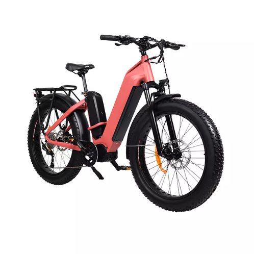 Warum sind E-Bikes von Trails verbannt?