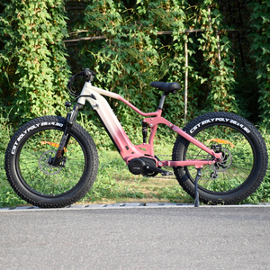 1000W/1200W Truckrun Mittelmotor-Elektrofahrrad Einzel-/Doppelbatterie-Option Fat Tire Elektrofahrrad