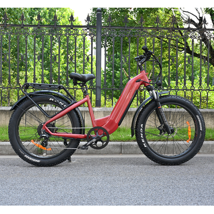 Fettreifen Elektrofahrrad 26 Zoll Single Dual Battery