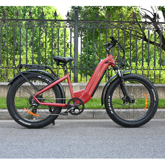 Treten Sie durch Design Electric Fat Tire Bike 26 'Zoll Reifen Single/Dual -Batterie -Elektrofahrrad zum Verkauf