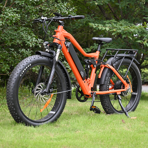 Große Batteriekapazität mit Heck -Hub -Motor Design 26 'Zoll Fettreifen Eodel