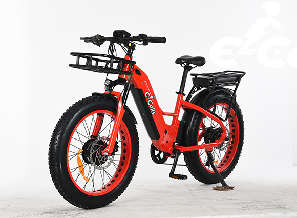 Hochwertiges Elektrofahrrad mit zwei Motoren