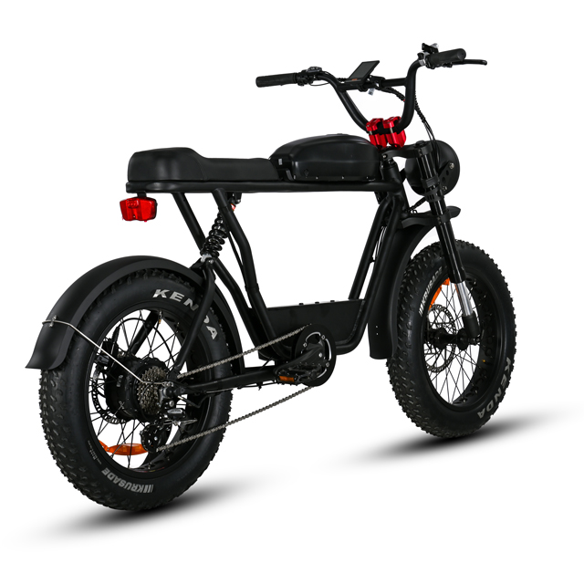 20 'Zoll Fettreifen Heck-Hub-Motorrad mit 7 Geschwindigkeitsgetriebe umweltfreundlich E-Bike