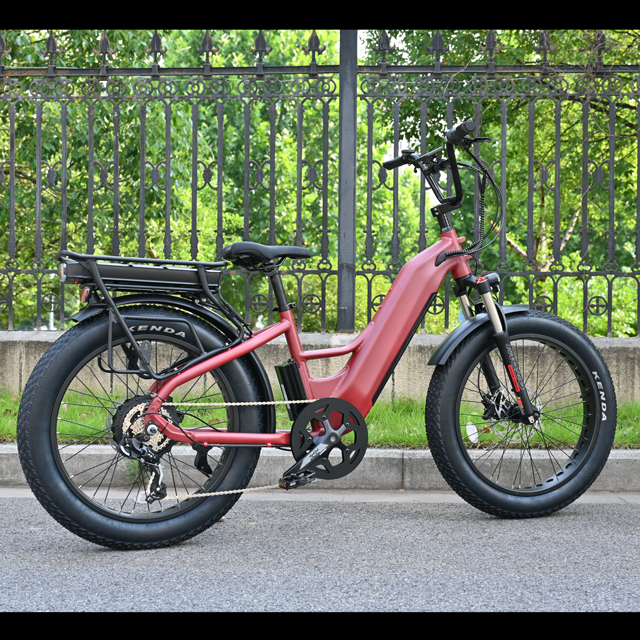 Elektrofahrrad mit zwei Batterie mit Heck -Nabenmotor Design 26 'Zoll Fettreifen Elektrofahrrad mit leistungsstarkem Motor