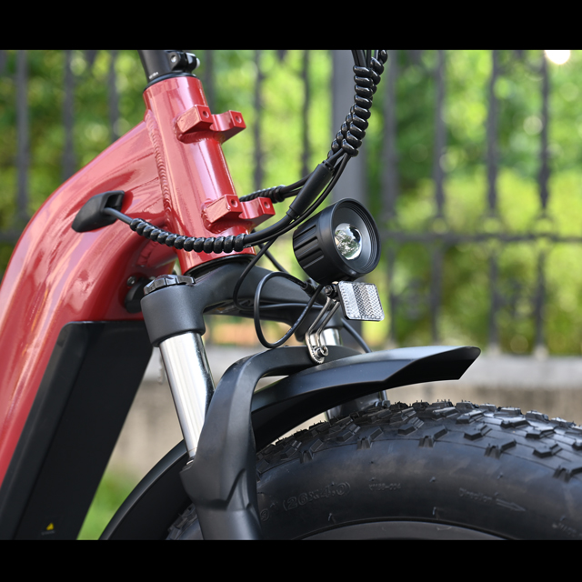 Treten Sie durch Design Electric Fat Tire Bike 26 'Zoll Reifen Single/Dual -Batterie -Elektrofahrrad zum Verkauf