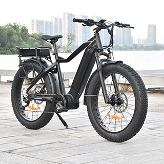 TDA15 PLUS DUAL BATTERIE 1000 WATT FAT TYRE ELEKTROFAHRRAD
