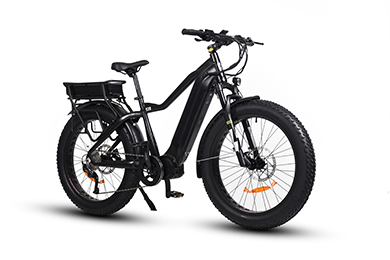 Entfessel der Leistung von 20 'Fat Tire Retro Electric -Pendlern