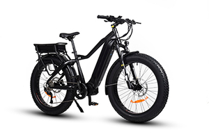 TDA15 PLUS DUAL BATTERIE 1000 WATT FAT TYRE ELEKTROFAHRRAD