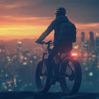 //ikrorwxhplollr5p-static.micyjz.com/cloud/lmBppKpklpSRpkmjmrjnip/e-bike-application.jpg