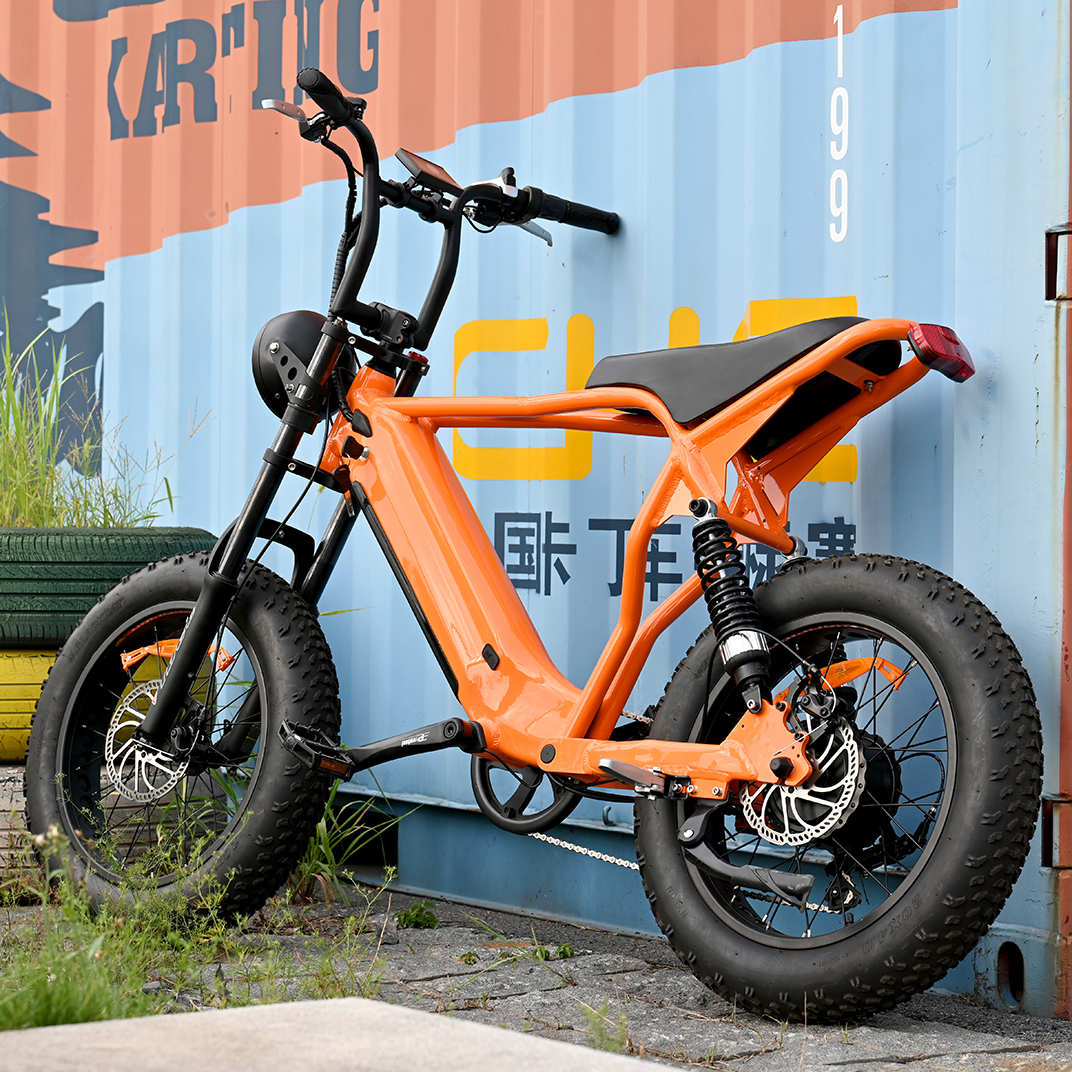Heck -Nabenmotorrad mit 20 'Zoll Fettreifen Doppelkronen -Federgabel mit langem Sait E -Bike