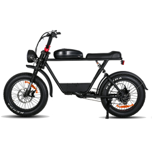 20 'Zoll Fettreifen Heck-Hub-Motorrad mit 7 Geschwindigkeitsgetriebe umweltfreundlich E-Bike
