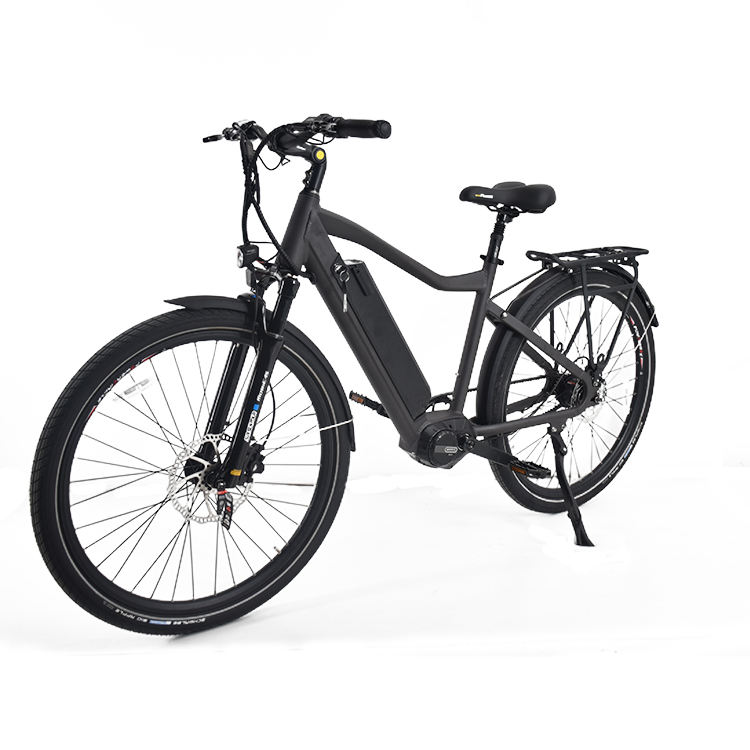Welche Annehmlichkeiten bringt City E-Bike in unser Leben?