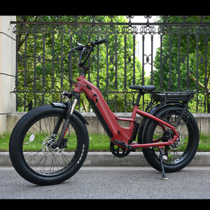 Elektrofahrrad mit zwei Batterie mit Heck -Nabenmotor Design 26 'Zoll Fettreifen Elektrofahrrad mit leistungsstarkem Motor
