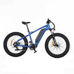 Bafang M600 500W Fat Tire Elektrofahrrad zu verkaufen, Höchstgeschwindigkeit 45 km/h, herausnehmbare Lithiumbatterie