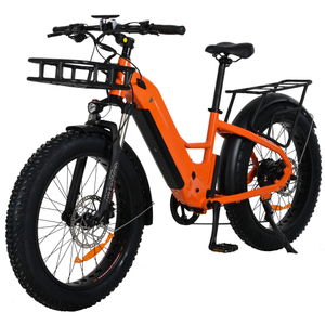 Hinterradnabenmotor-Design, 24-Zoll-Fettreifen-E-Modell, Step-Through-Design-Elektrofahrrad