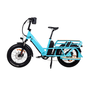 TDN04Z Long Range Cargo Elektrofahrrad Hinterradnabenmotor Antriebsmotor Cargo E-Bike Dual Battery Design