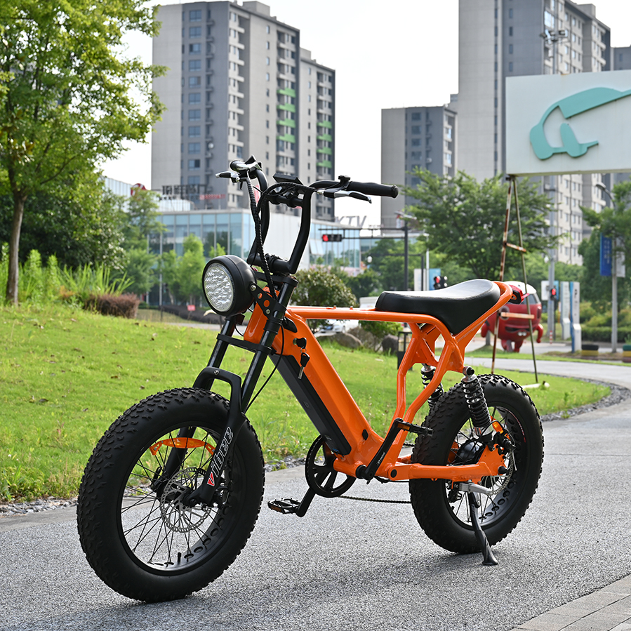 Heck -Nabenmotorrad mit 20 'Zoll Fettreifen Doppelkronen -Federgabel mit langem Sait E -Bike