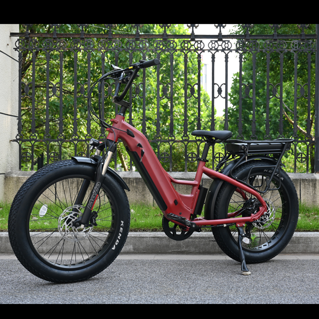 Elektrofahrrad mit zwei Batterie mit Heck -Nabenmotor Design 26 'Zoll Fettreifen Elektrofahrrad mit leistungsstarkem Motor