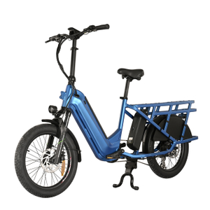 Neues Frachtrad mit versteckter Röhrchen -Batterie 20 'Zoll Fettreifen Fahrrad