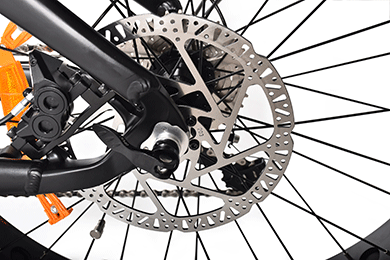 TDA15 PLUS DUAL BATTERIE 1000 WATT FAT TYRE ELEKTROFAHRRAD
