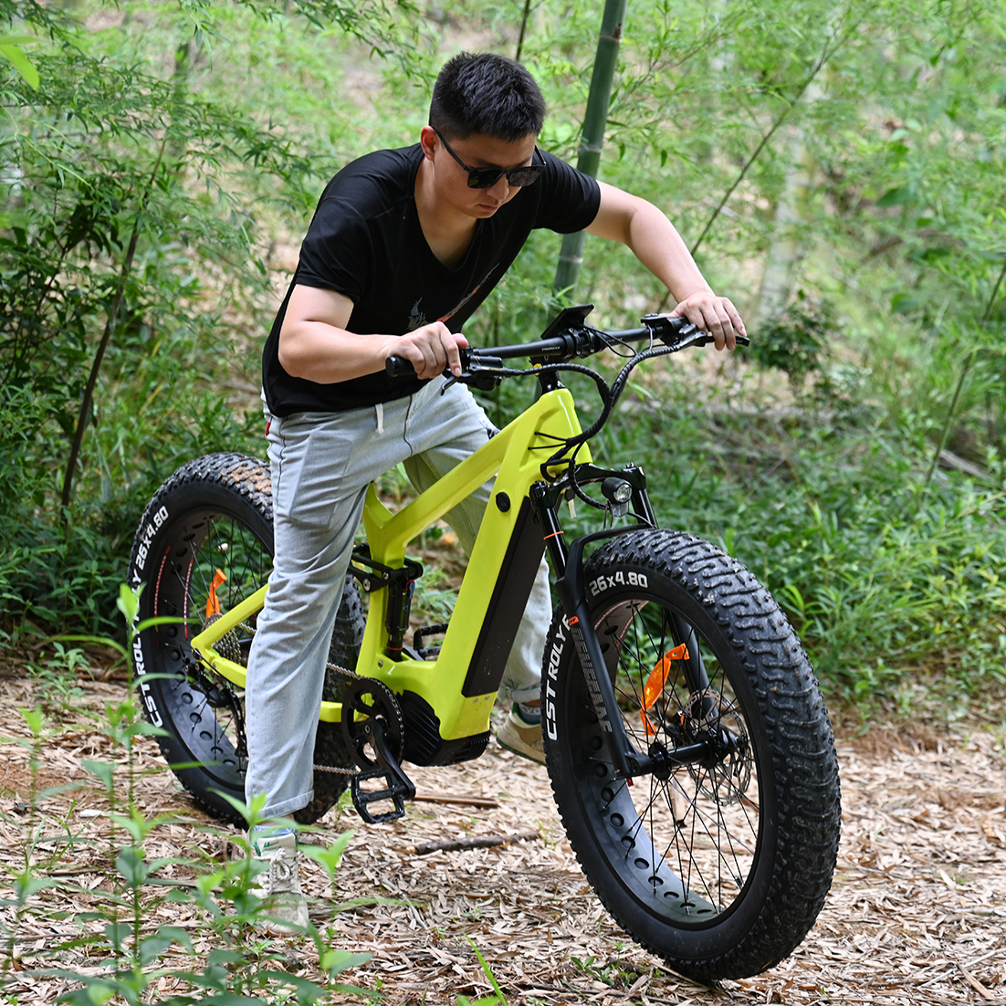 Kohlefaser-Elektrofahrrad 1000 W/1200 W Mid-Drive-Motorrad Truckrun Fat Tire Bike