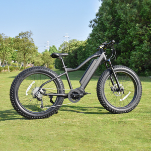 26' Zoll Fat Tire Bike Hard Tail Jagd Elektrofahrrad M620 Bafang MotorMid Motorrad