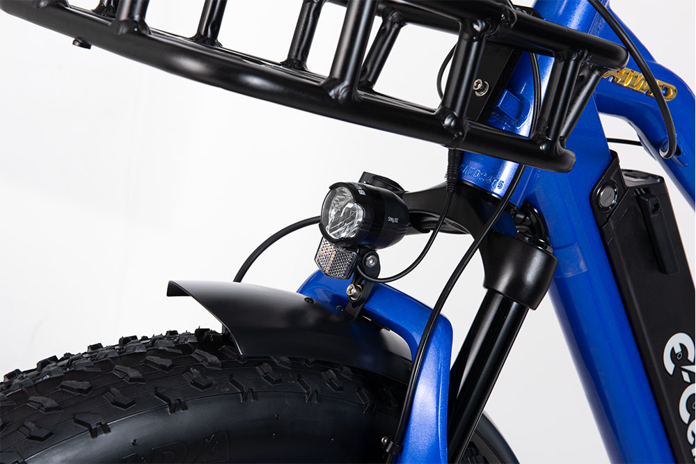 E-CELLS SUPER MONARCH AWD 700 1000 WATT