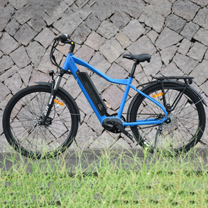 Elektrisches Stadtfahrrad mit Riemenantrieb und Shimano-Innengeschwindigkeit, 250-W-Stadtfahrrad für den täglichen Pendelverkehr 