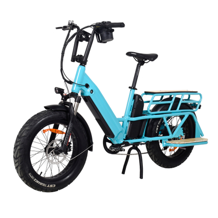 TDN04Z Long Range Cargo Elektrofahrrad Hinterradnabenmotor Antriebsmotor Cargo E-Bike Dual Battery Design