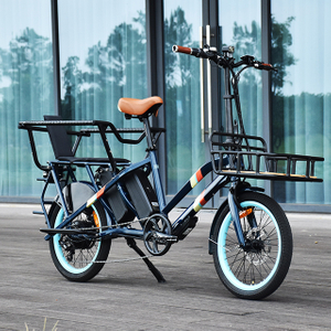 TDN03Z Cargo Elektrofahrrad Hinterradnabenmotor E-Bike 20 Zoll dünneres Reifenfahrrad