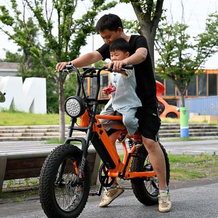Heck -Nabenmotorrad mit 20 'Zoll Fettreifen Doppelkronen -Federgabel mit langem Sait E -Bike