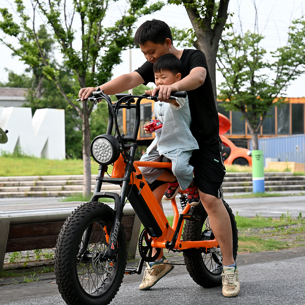 Heck -Nabenmotorrad mit 20 'Zoll Fettreifen Doppelkronen -Federgabel mit langem Sait E -Bike