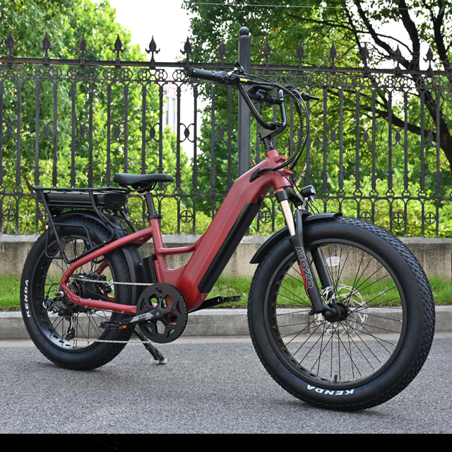 Elektrofahrrad mit zwei Batterie mit Heck -Nabenmotor Design 26 'Zoll Fettreifen Elektrofahrrad mit leistungsstarkem Motor
