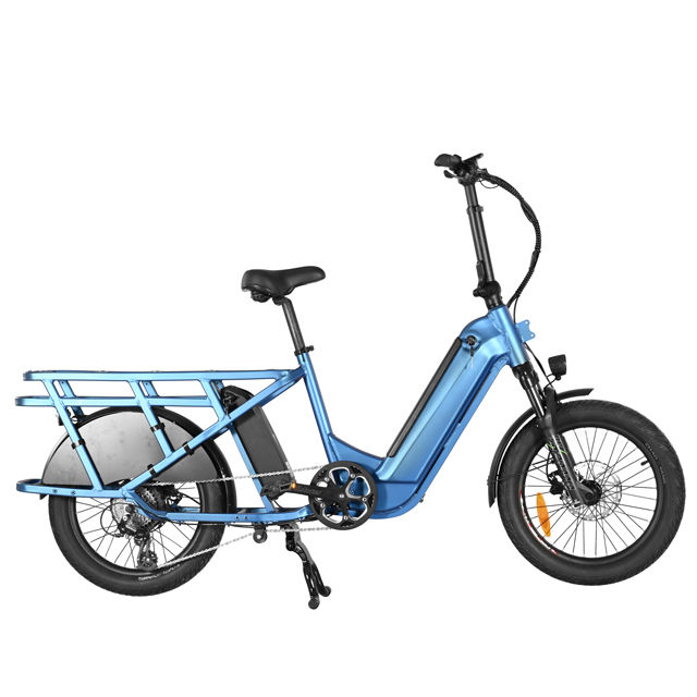 Neues Frachtrad mit versteckter Röhrchen -Batterie 20 'Zoll Fettreifen Fahrrad