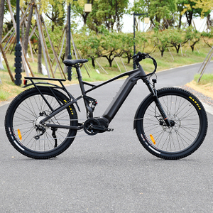 Full Suspension 1000W Power Mountain E Bike Ebike mit dünnerem Reifen