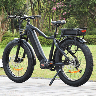 TDA15 PLUS DUAL BATTERIE 1000 WATT FAT TYRE ELEKTROFAHRRAD