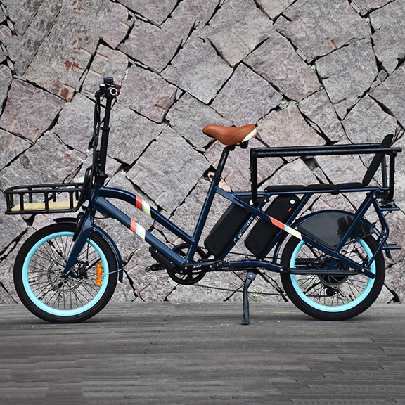 TDN03Z Cargo Elektrofahrrad Hinterradnabenmotor E-Bike 20 Zoll dünneres Reifenfahrrad