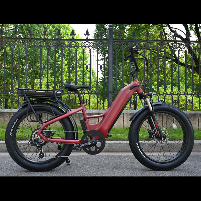Elektrofahrrad mit zwei Batterie mit Heck -Nabenmotor Design 26 'Zoll Fettreifen Elektrofahrrad mit leistungsstarkem Motor