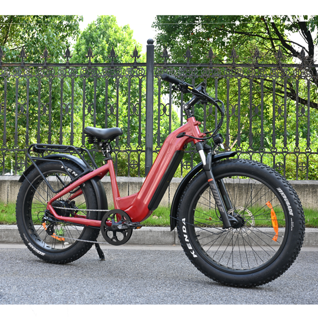 Treten Sie durch Design Electric Fat Tire Bike 26 'Zoll Reifen Single/Dual -Batterie -Elektrofahrrad zum Verkauf
