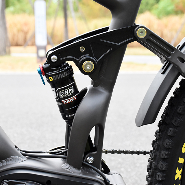 Full Suspension 1000W Power Mountain E Bike Ebike mit dünnerem Reifen